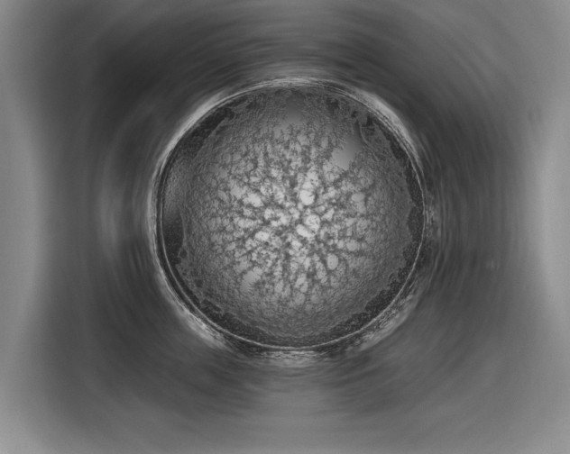 X0000116510859200912161337