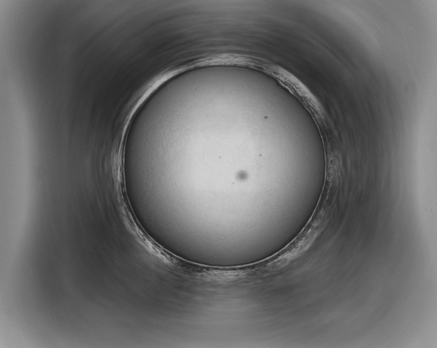 X0000116510860200912161337