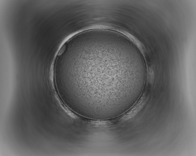 X0000116510862200912161337