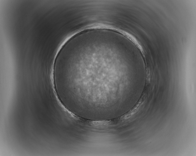 X0000116510863200912161337