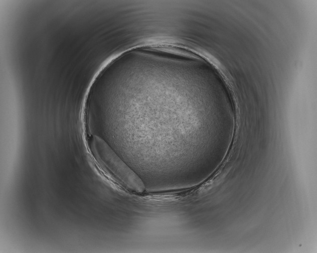 X0000116510864200912161337