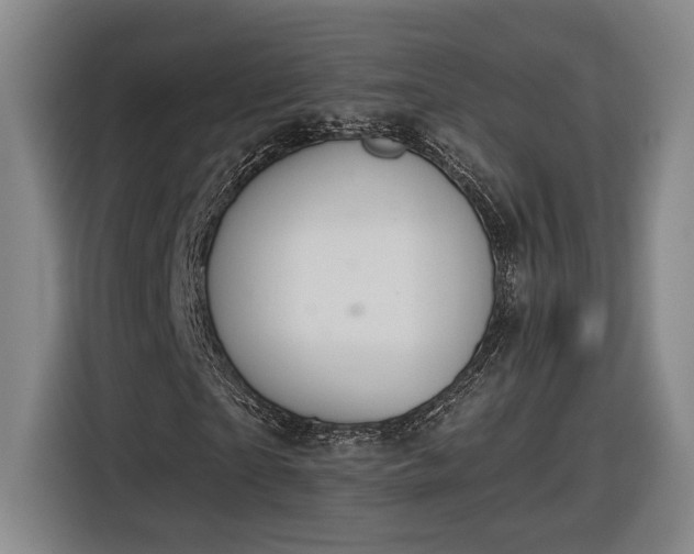 X0000116510865200912161337