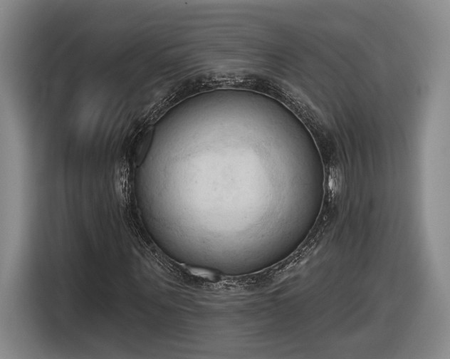 X0000116510867200912161337