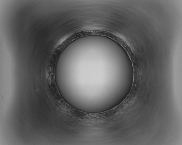 X0000116510871200912161336