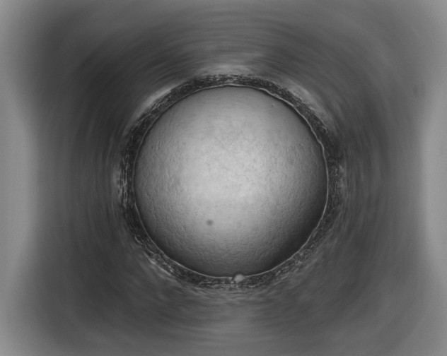 X0000116510872200912161336