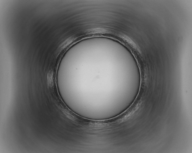 X0000116510873200912161336