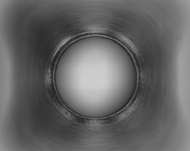 X0000116510875200912161336