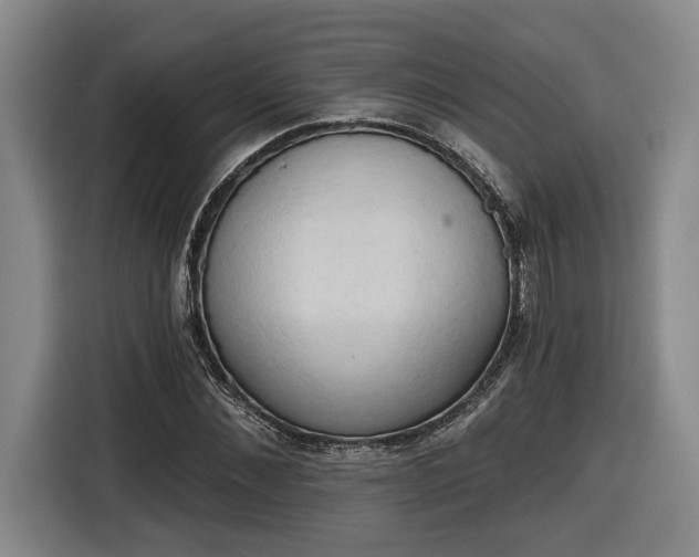 X0000116510876200912161336