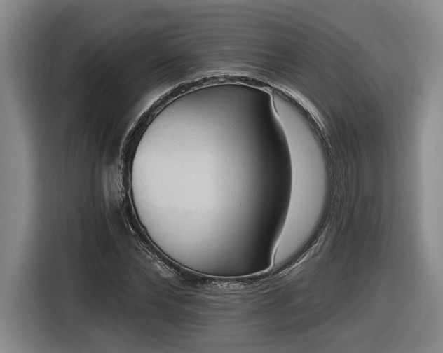 X0000116510878200912161336