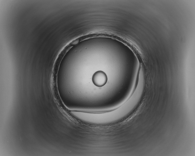 X0000116510880200912161336