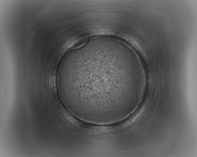 X0000116510881200912161336