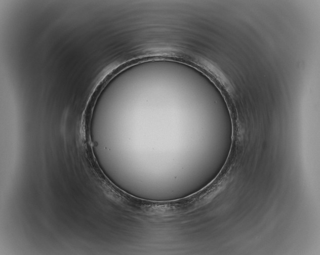 X0000116510883200912161336