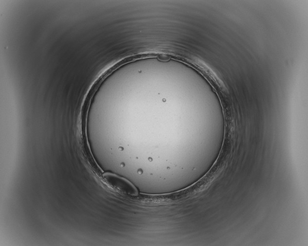 X0000116510884200912161336