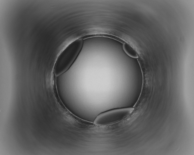 X0000116510885200912161336