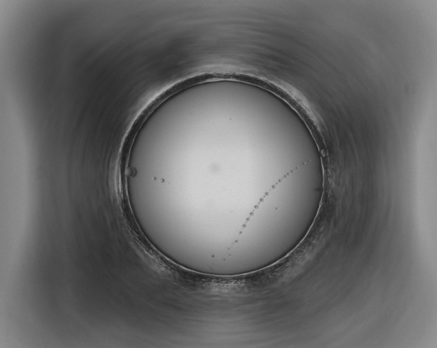 X0000116510887200912161336