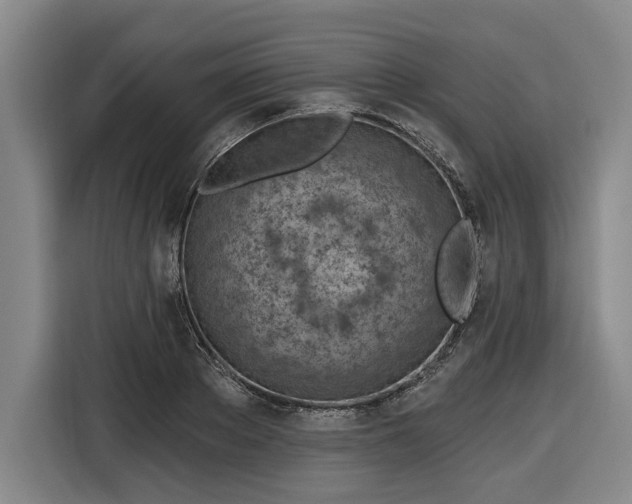 X0000116510889200912161336