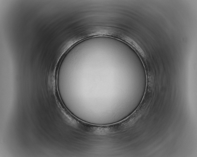 X0000116510890200912161336