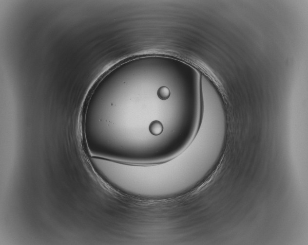 X0000116510892200912161336