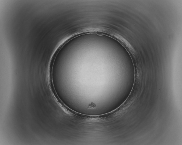 X0000116510894200912161336