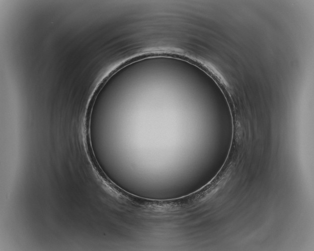 X0000116510895200912161336