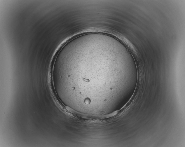 X0000116510896200912161336