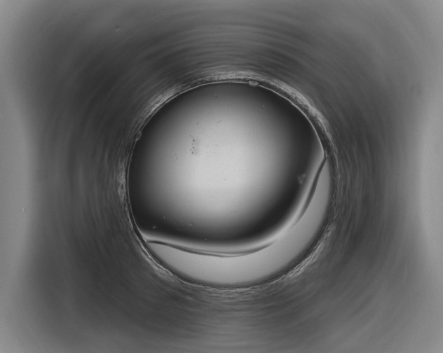 X0000116510897200912161336