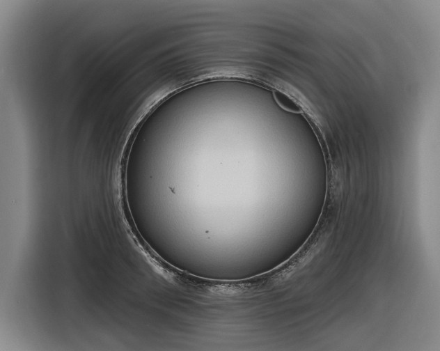 X0000116510898200912161336