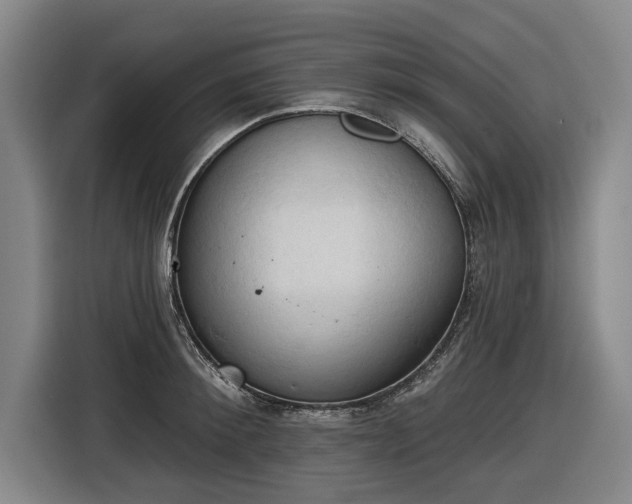 X0000116510900200912161336