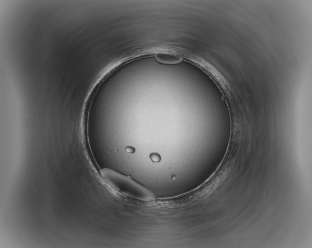 X0000116510902200912161336