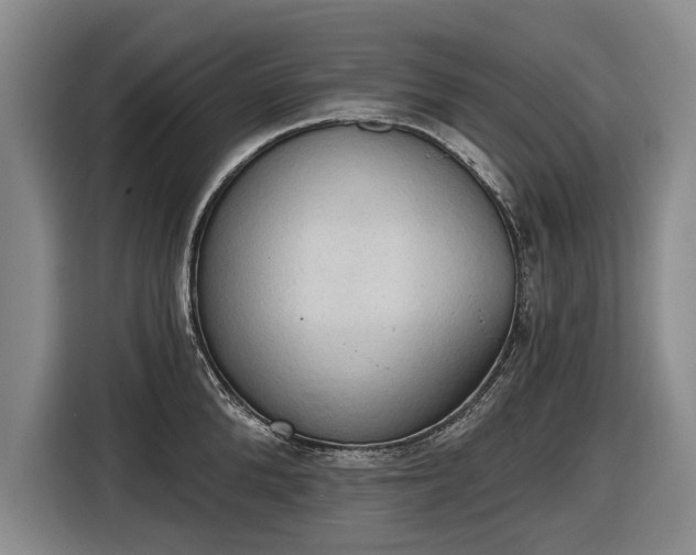 X0000116510904200912161336