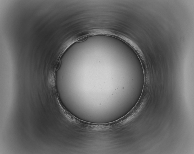 X0000116510905200912161336