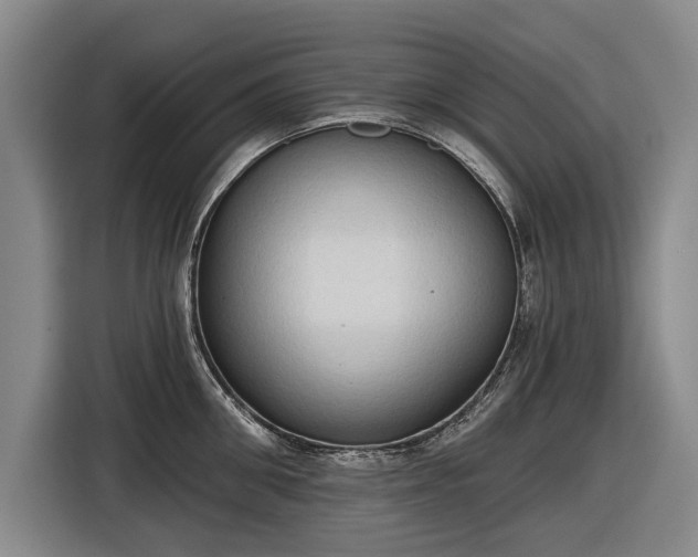 X0000116510906200912161336