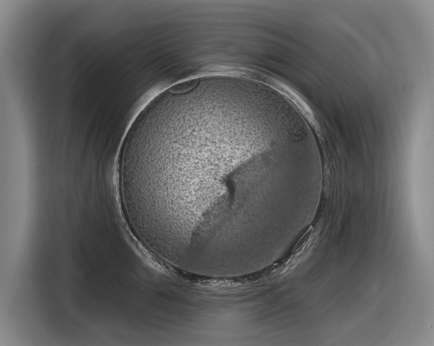 X0000116510907200912161336