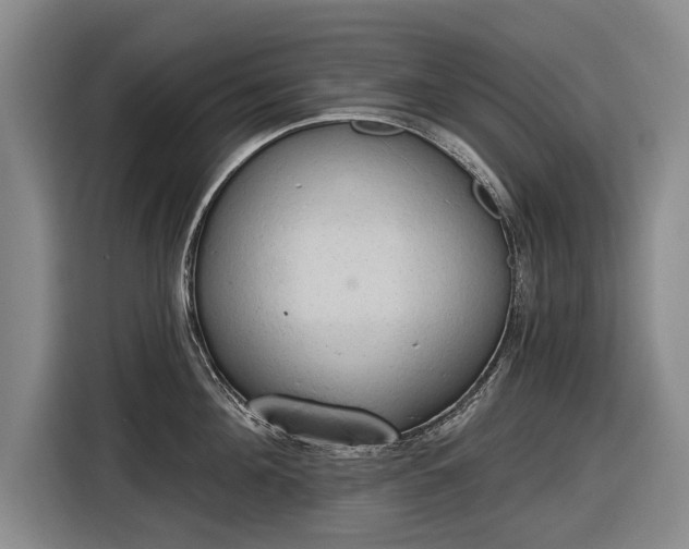 X0000116510908200912161336