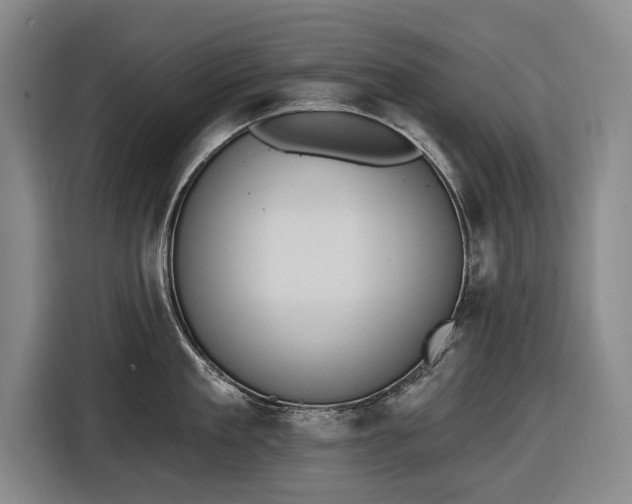 X0000116510909200912161336