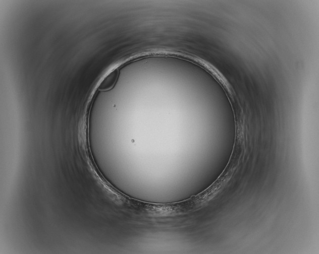 X0000116510911200912161336