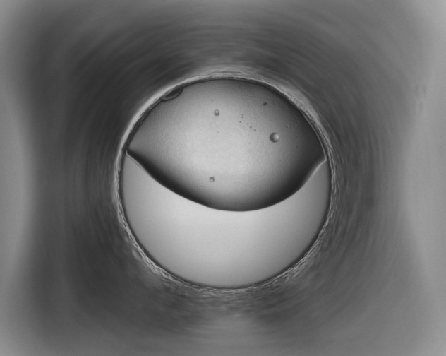 X0000116510912200912161336