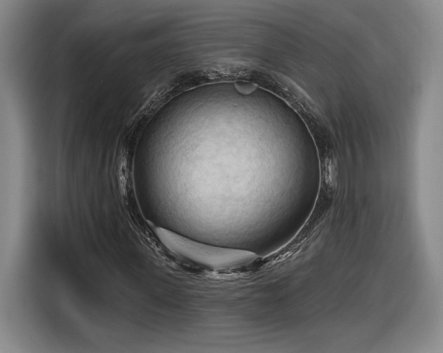 X0000116510915200912161335