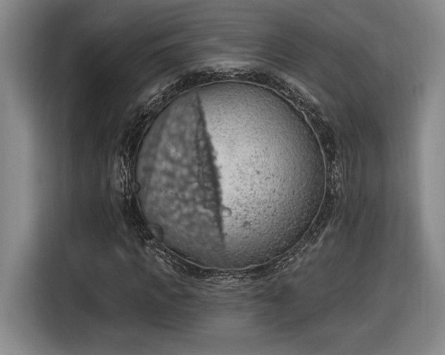 X0000116510917200912161335