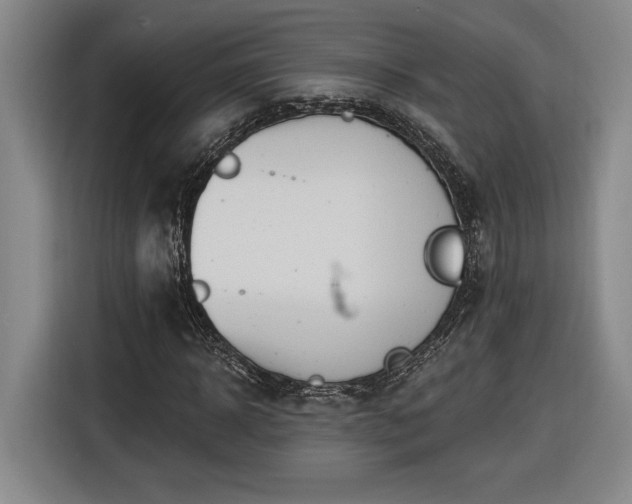 X0000116510918200912161335