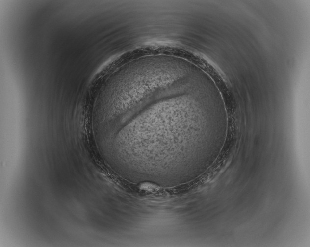 X0000116510919200912161335