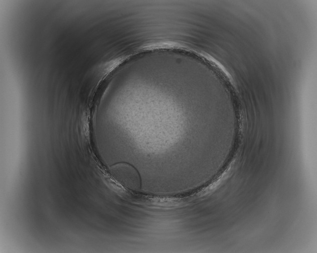 X0000116510921200912161335