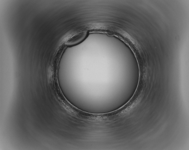 X0000116510922200912161335