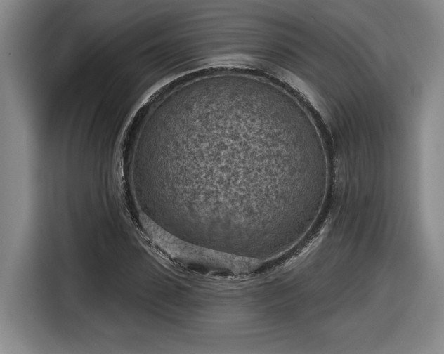 X0000116510923200912161335