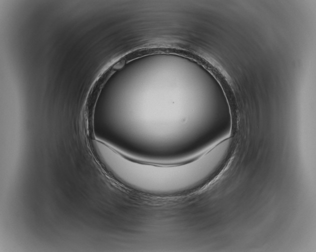 X0000116510925200912161335