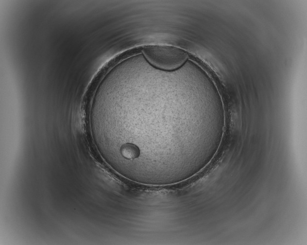 X0000116510926200912161336