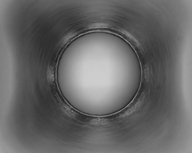 X0000116510929200912161336