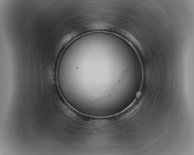 X0000116510930200912161336