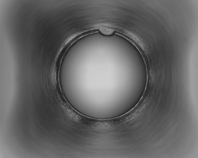 X0000116510931200912161336