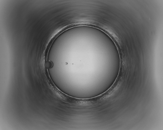 X0000116510933200912161336